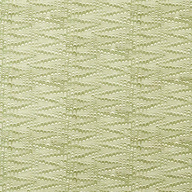 Soft matcha green fabric with tightly repeated scalloped arch motifs and woven texture