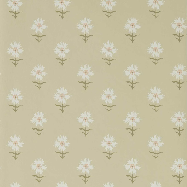 Muted sage wallpaper with small cream flowers and olive stems in a repeating pattern