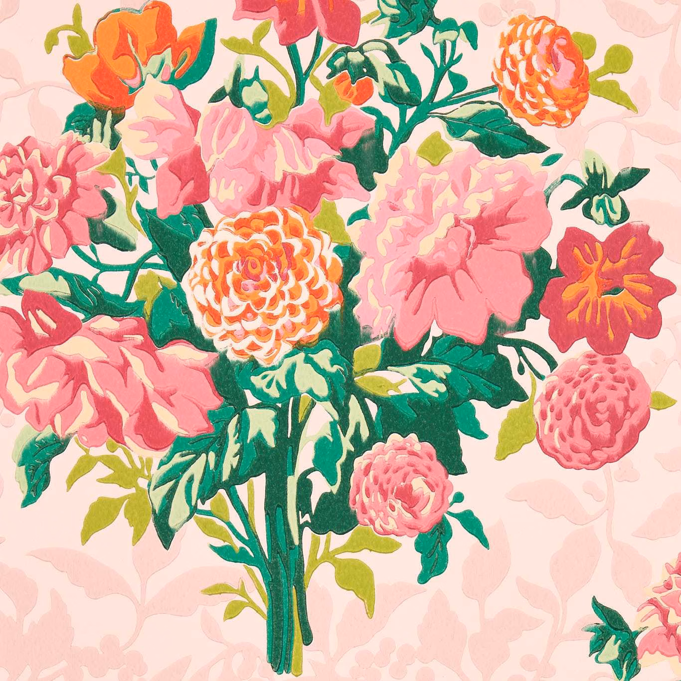 Blush wallpaper with vivid pink dahlias, coral blooms and deep green leafy stems