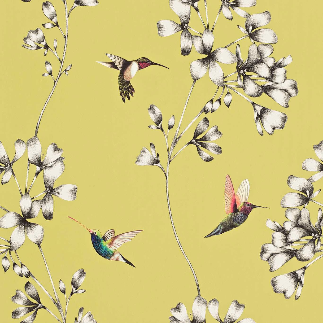 Chartreuse wallpaper with black-and-white flowers and jewel-toned hummingbirds in flight