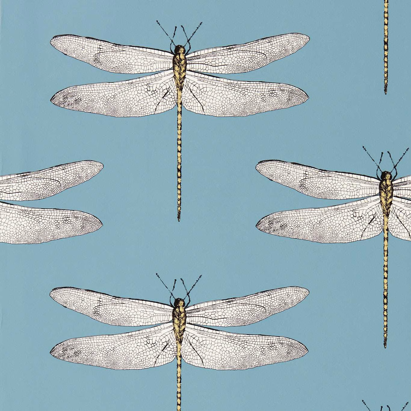 Muted cornflower blue wallpaper with pale dragonflies and honey-gold bodies