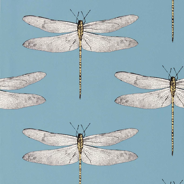 Muted cornflower blue wallpaper with pale dragonflies and honey-gold bodies