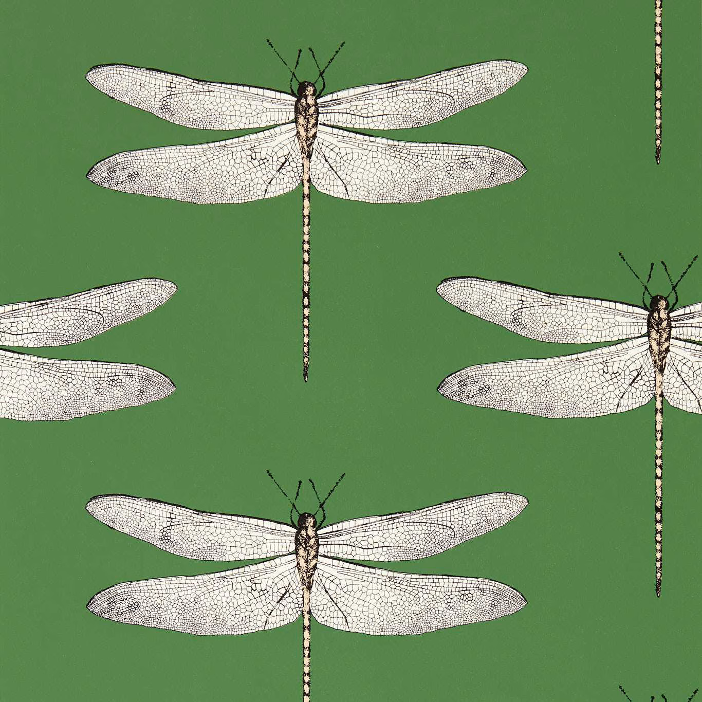 Pale outlined dragonflies across a rich Kelly green wallpaper ground