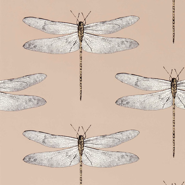 Warm taupe wallpaper with pale dragonflies, fine black wing veining and trailing bodies