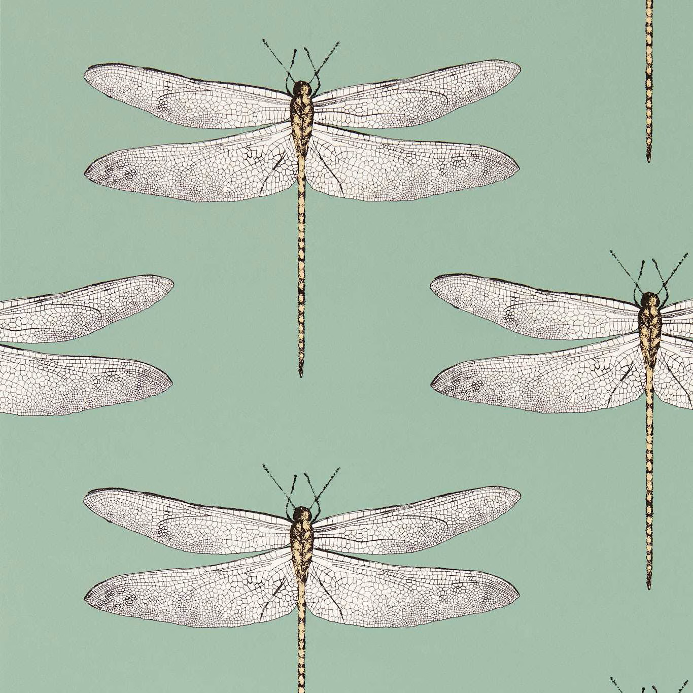 Seaglass green wallpaper with finely detailed pale dragonflies and dark slender bodies