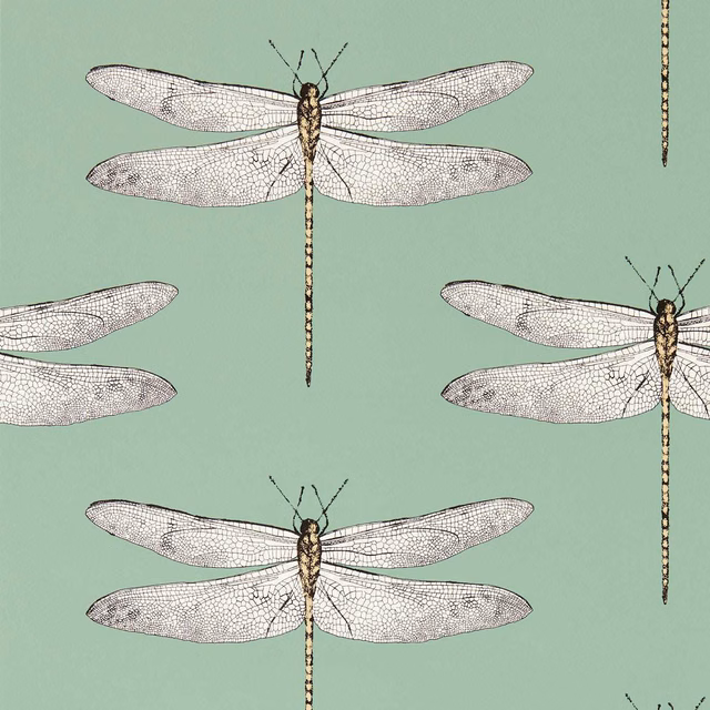 Seaglass green wallpaper with finely detailed pale dragonflies and dark slender bodies