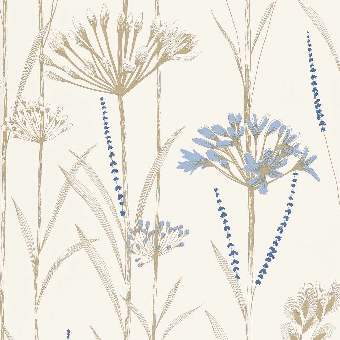 Chalk wallpaper with Wedgwood-blue botanical flowers and fine gold stems