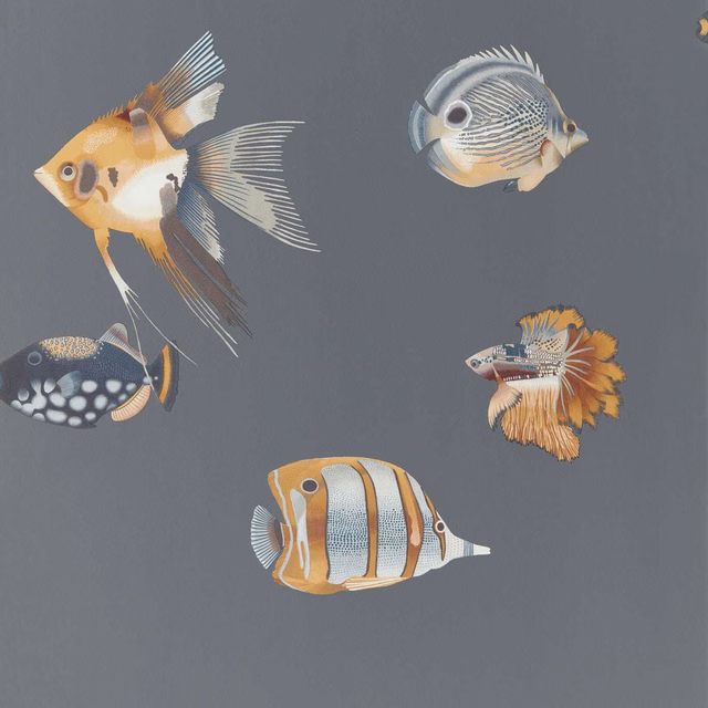 Amber and cream fish illustrations floating across a deep slate-blue ground