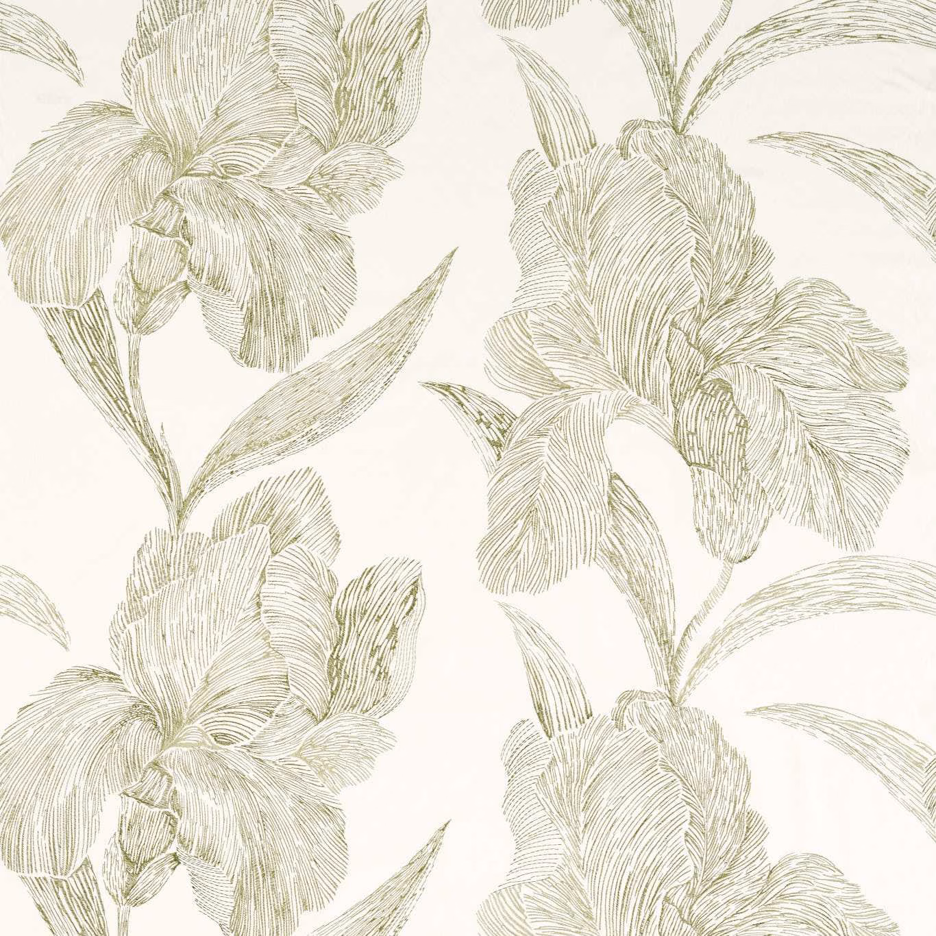 Muted sage iris-like blooms and leaves drawn in fine lines on an ivory fabric ground