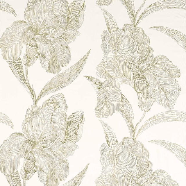 Muted sage iris-like blooms and leaves drawn in fine lines on an ivory fabric ground