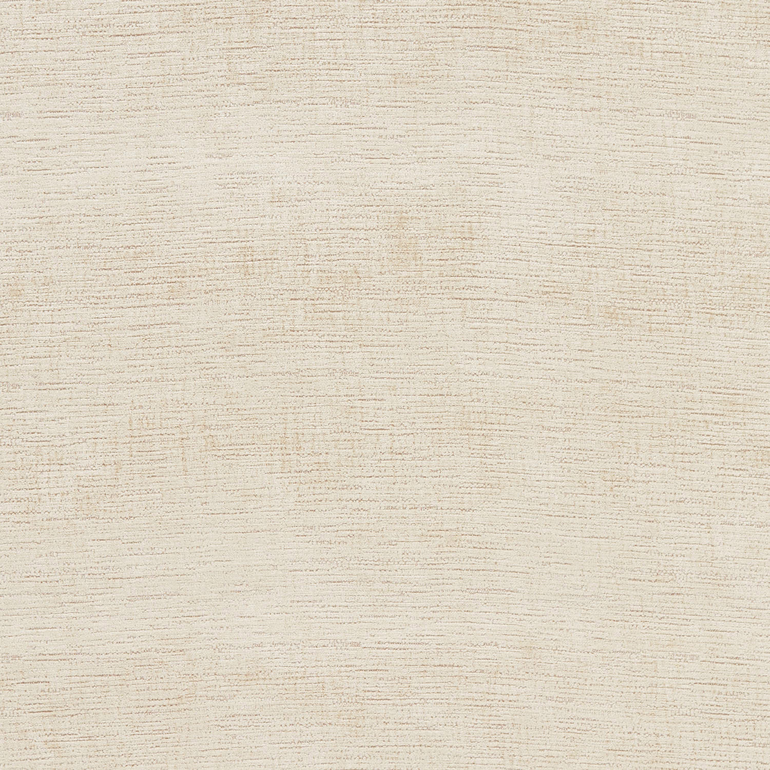Warm champagne cream velvet with fine horizontal striations and subtle tonal texture
