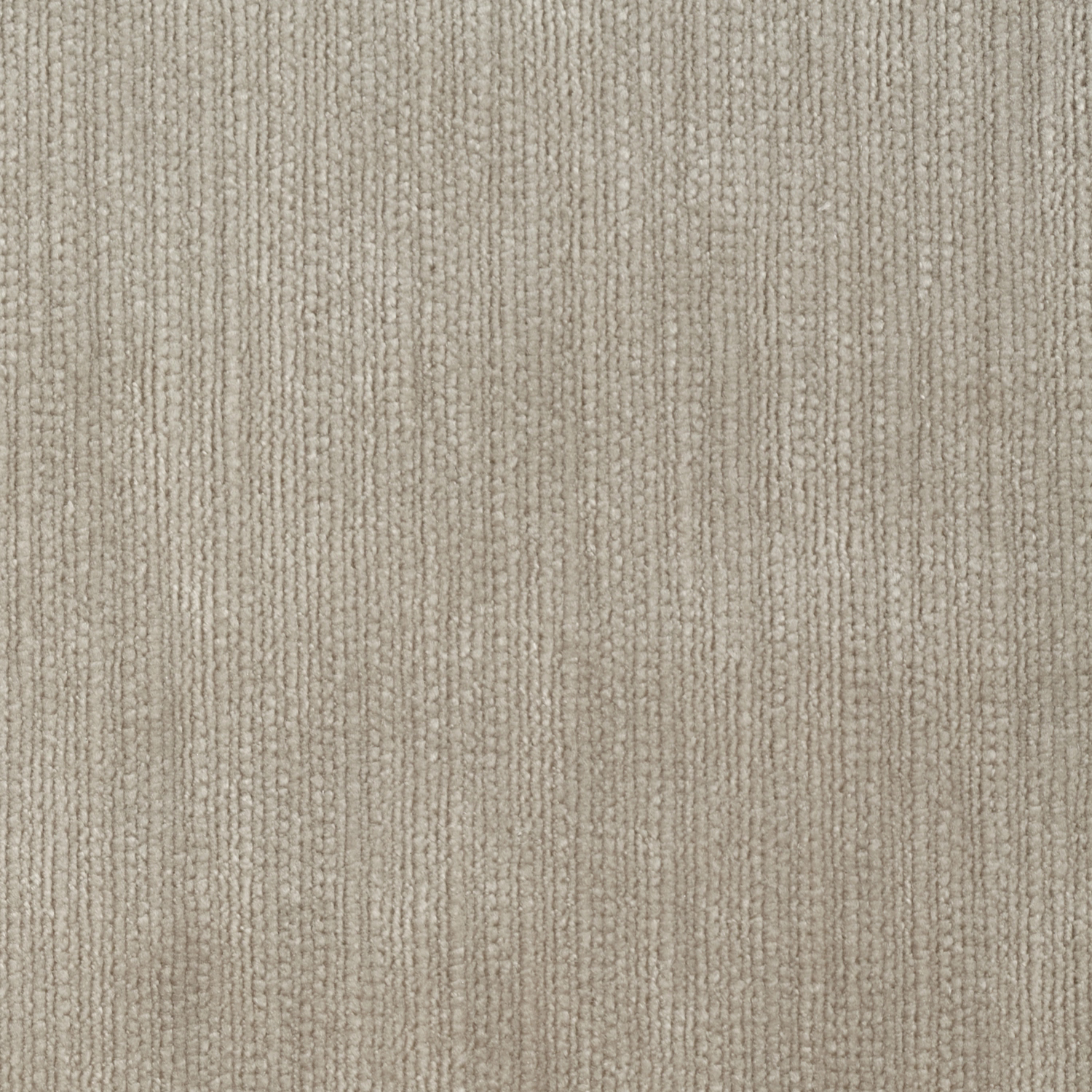 Close-up of pebble greige velvet with fine vertical ridged texture and tonal depth