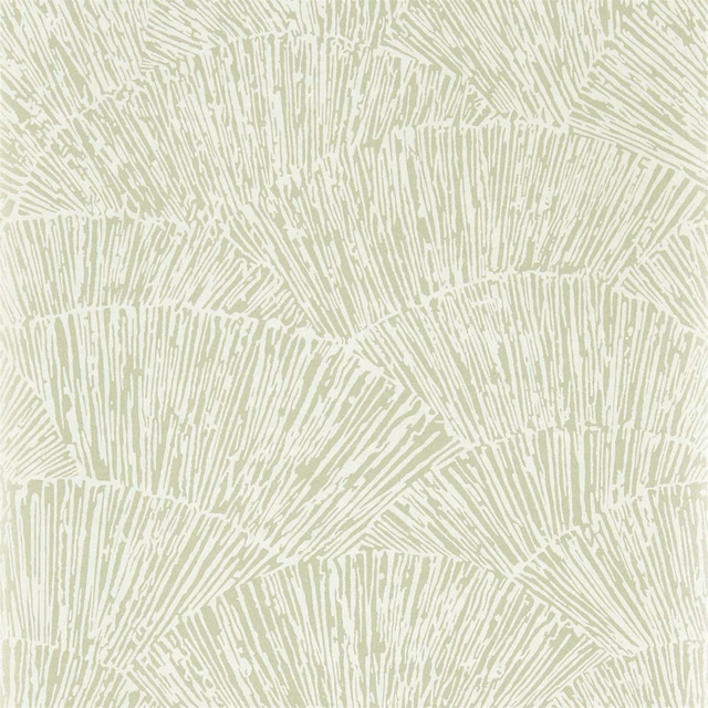 Pale oyster wallpaper with muted sage radiating fan lines and fine distressed detail