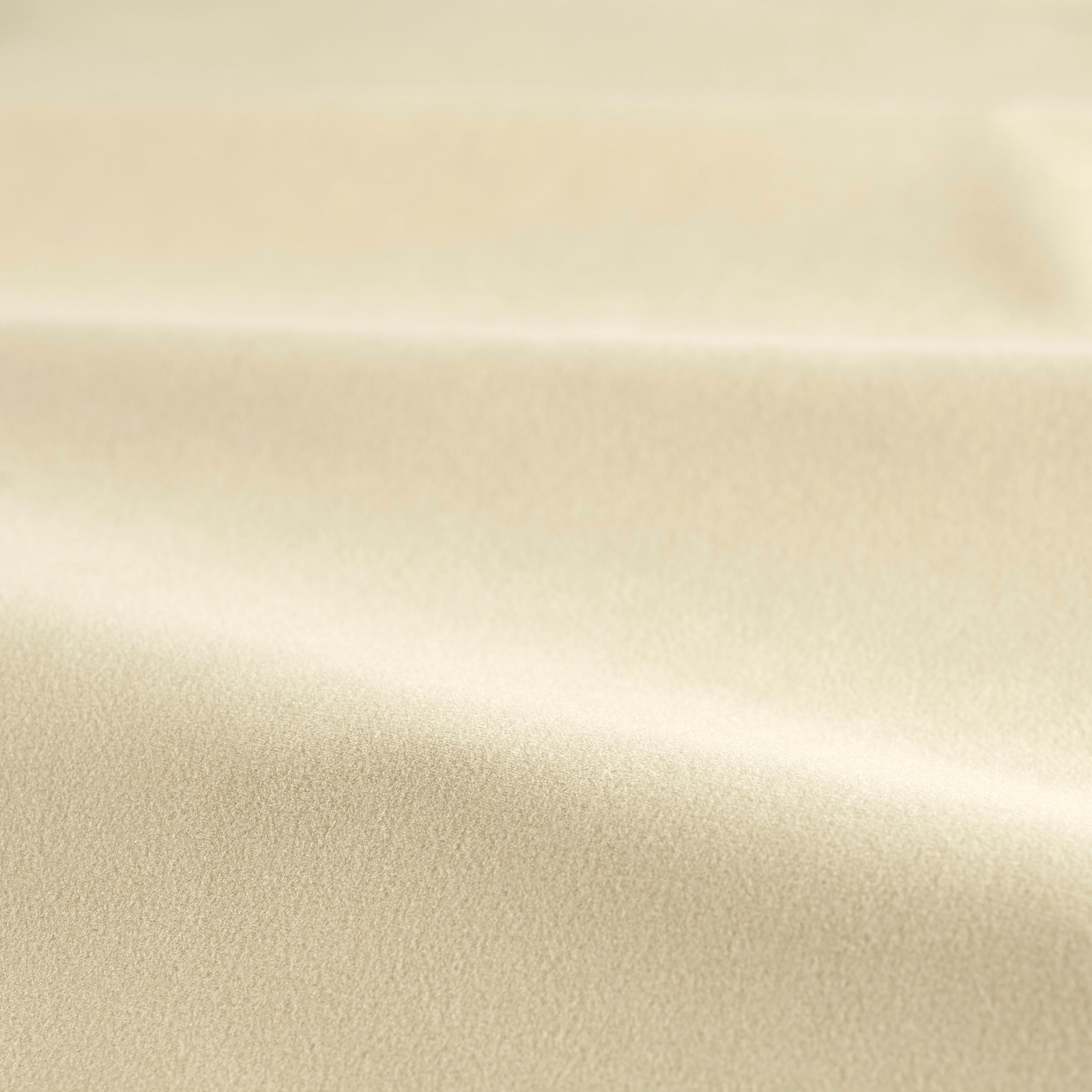 Warm sand velvet with a smooth nap and shifting pale sheen