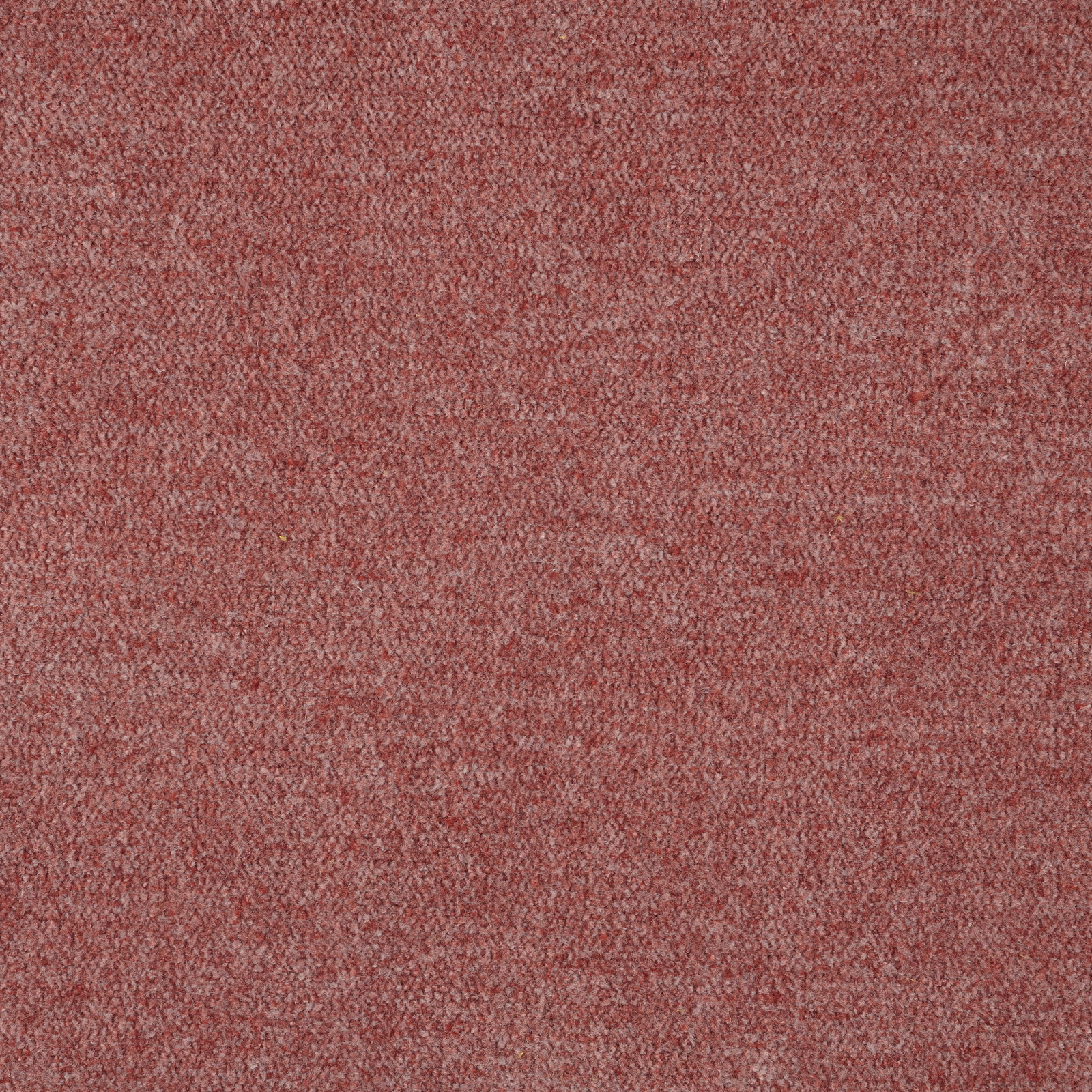 Dusky rose chenille with fine mottled yarn texture and soft tonal variation