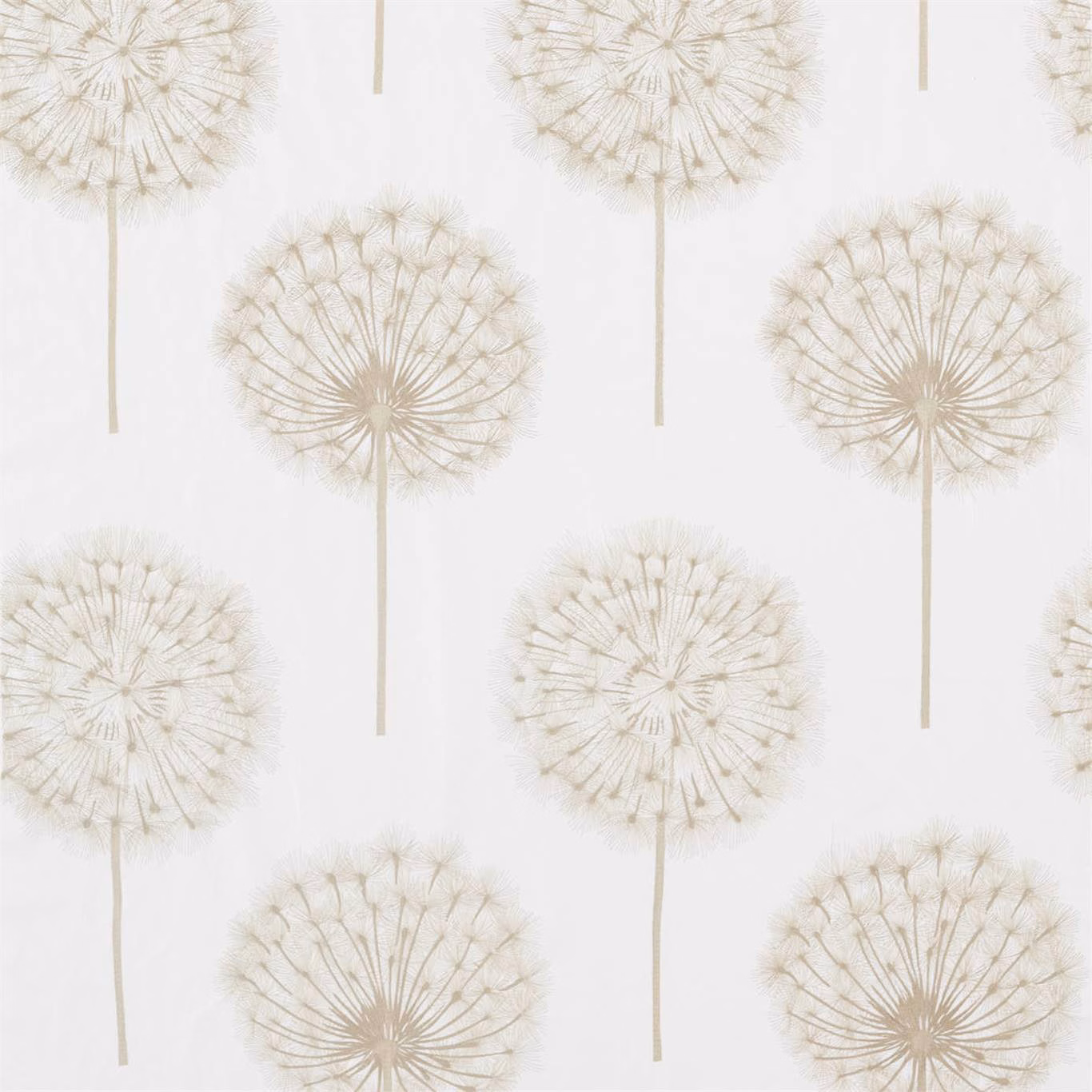 Chalk fabric with taupe dandelion heads, fine stems and feathery seed detail
