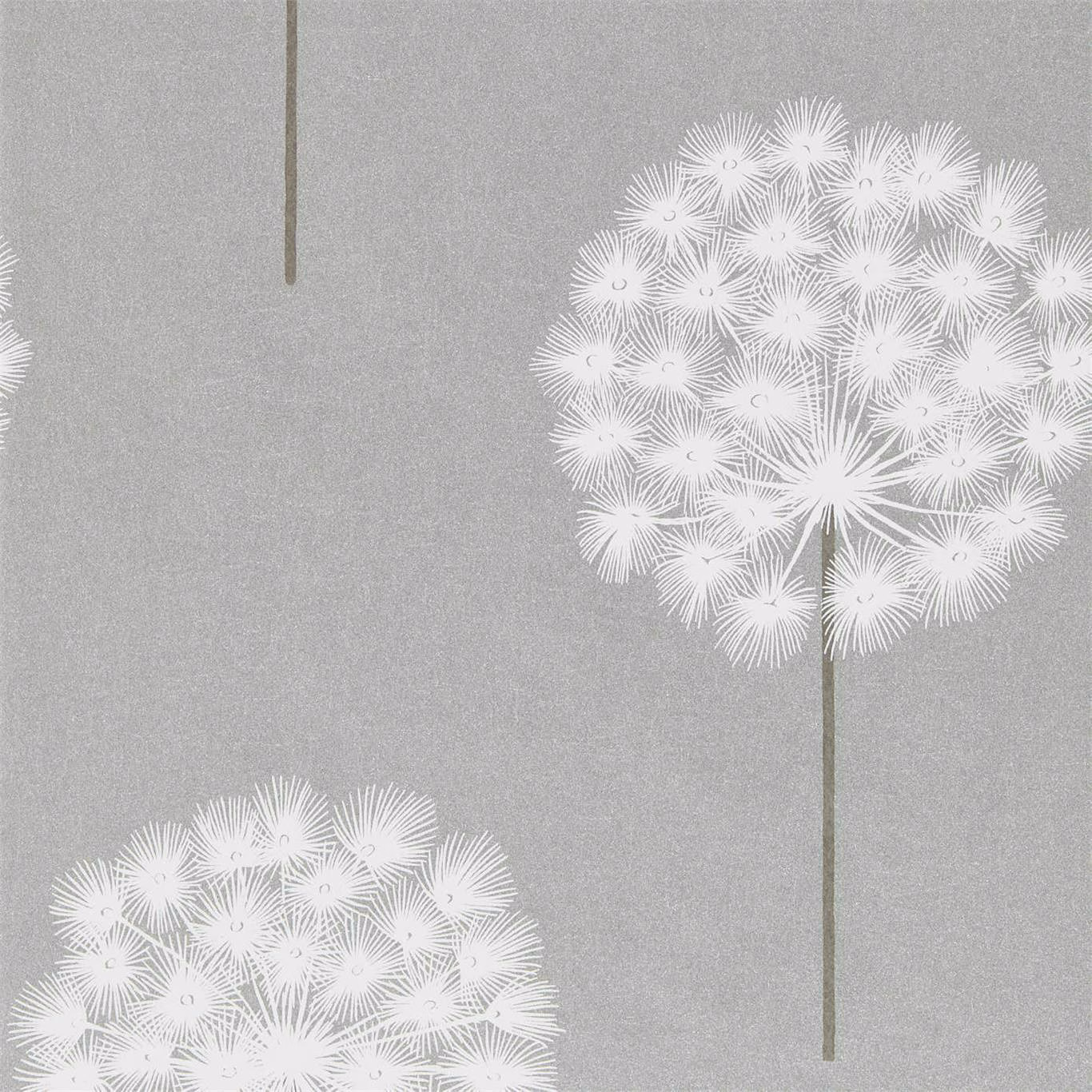 Silver-grey wallpaper with large chalk-white dandelion seed heads and slender stems