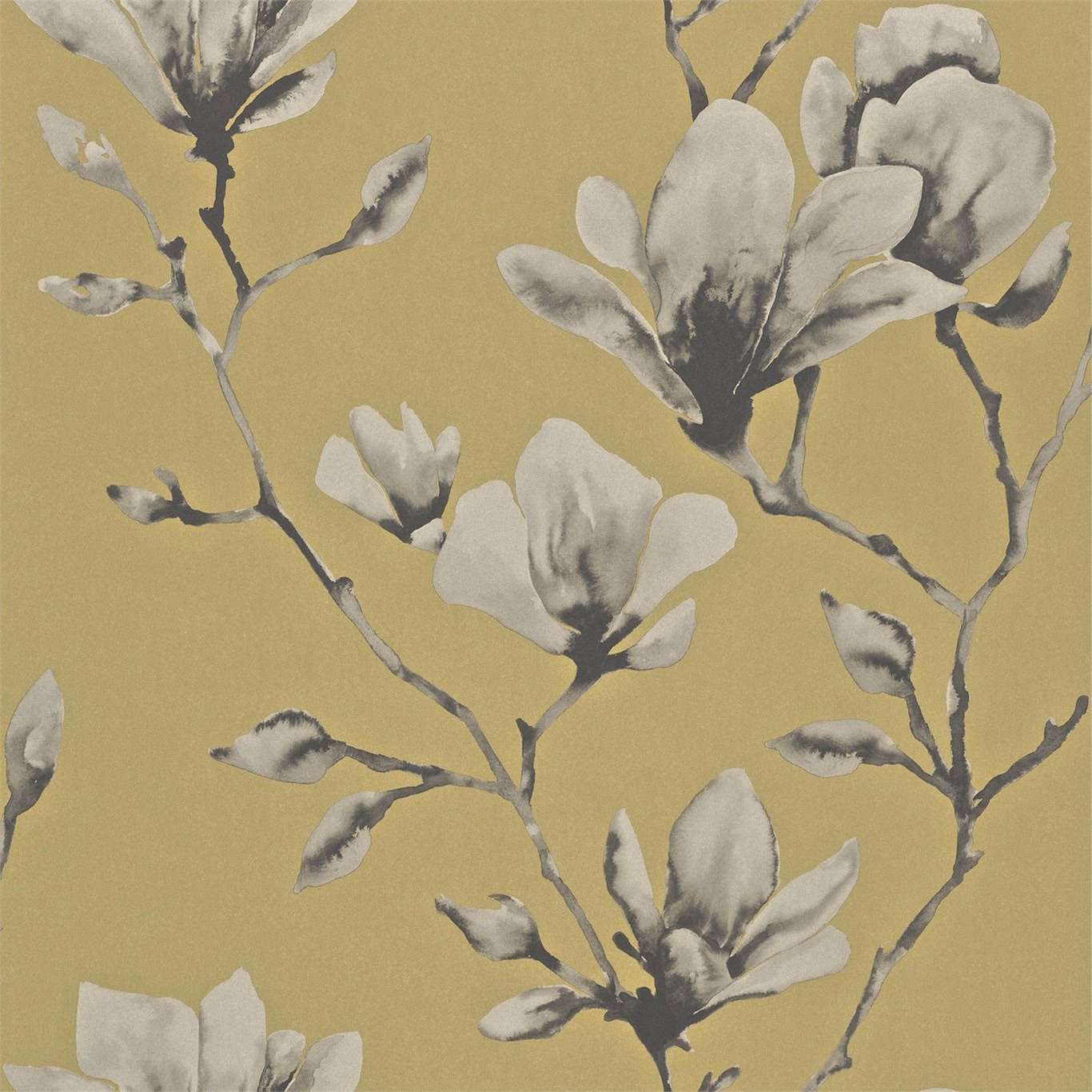 Warm mustard wallpaper with oversized ivory magnolia blooms and charcoal branches