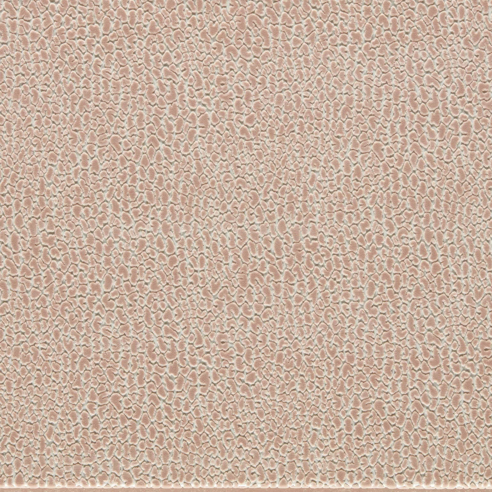 Dusty blush velvet with pale irregular looping texture and soft raised highlights
