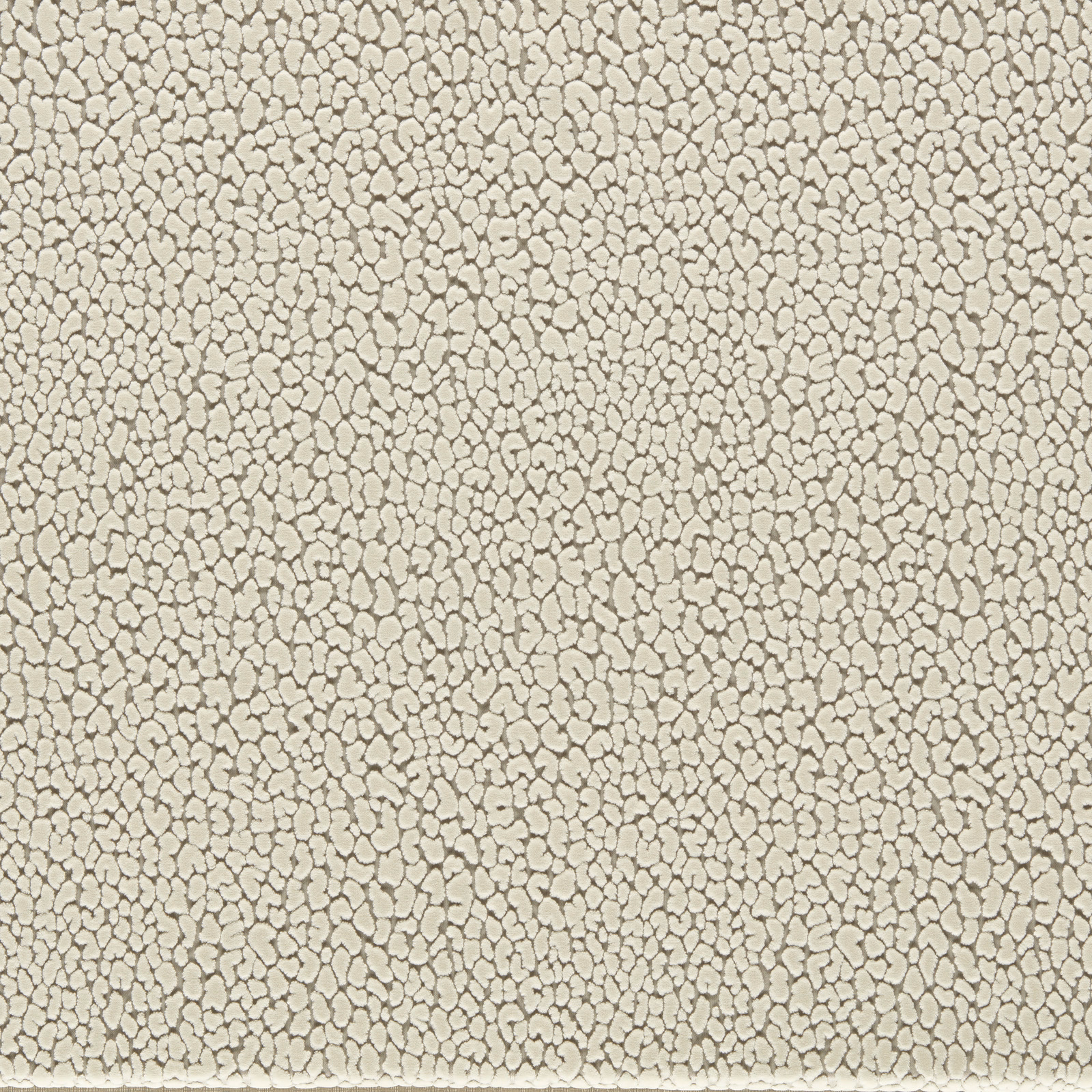 Chalk ivory velvet with a dense fine taupe pebble-like all-over texture