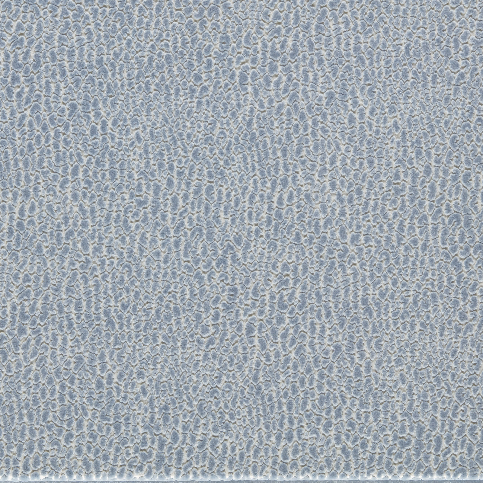 Pale cornflower blue velvet with a dense, softly rippled abstract texture