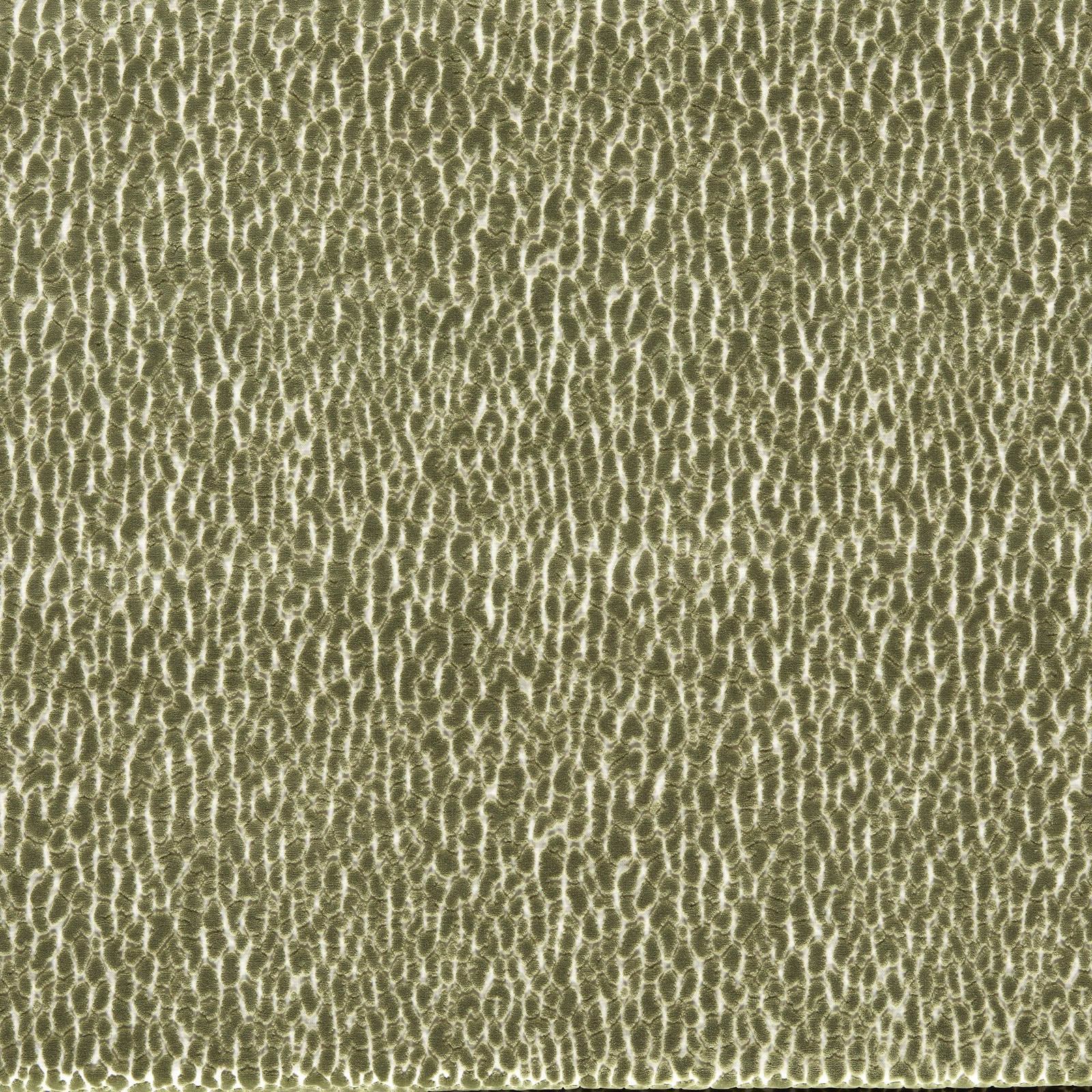 Mossy olive velvet with pale irregular cellular markings and a softly lustrous pile