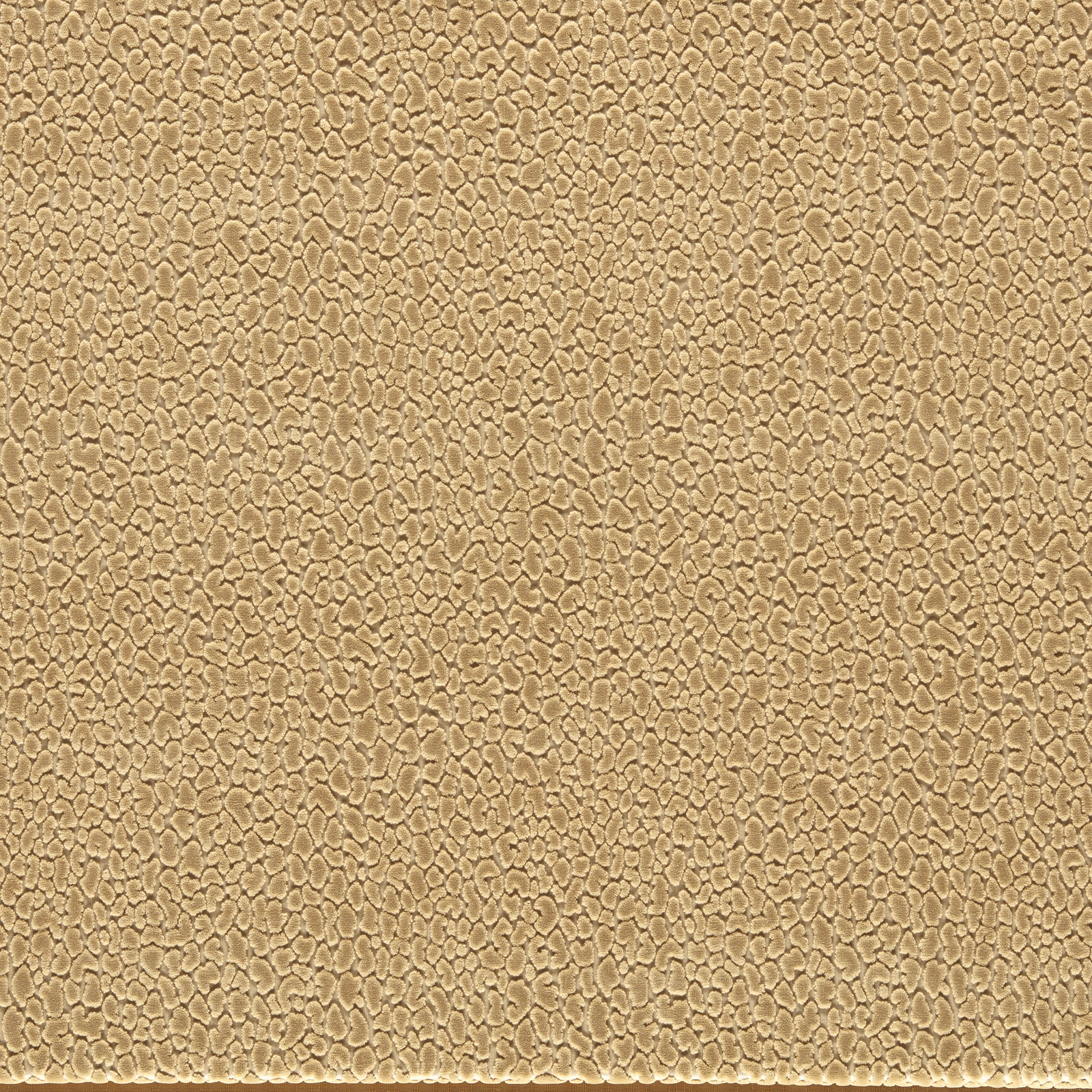 Warm sand-beige velvet with dense raised pebble-like tonal texture
