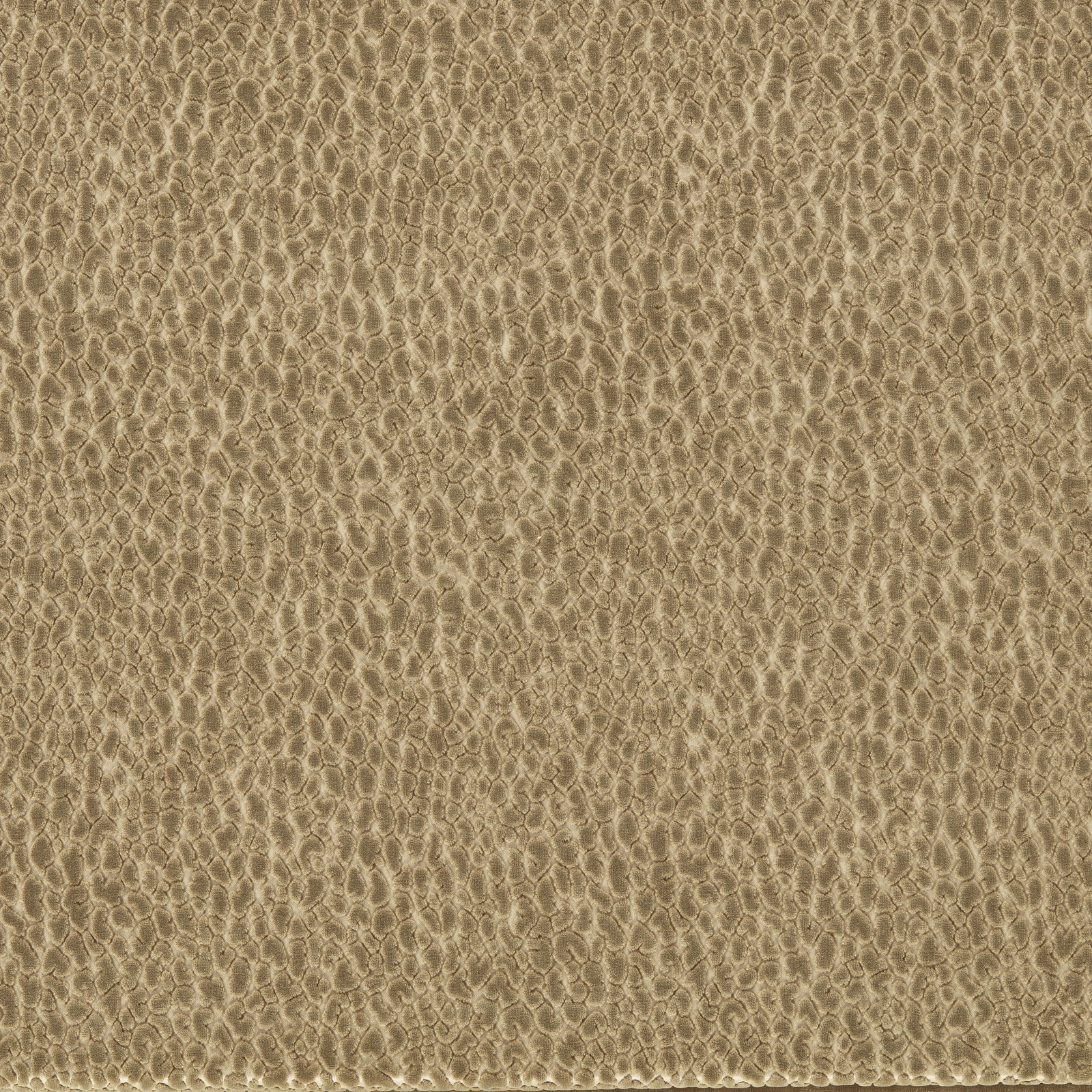 Warm taupe velvet with a softly rippled, organic loop pattern and subtle directional sheen