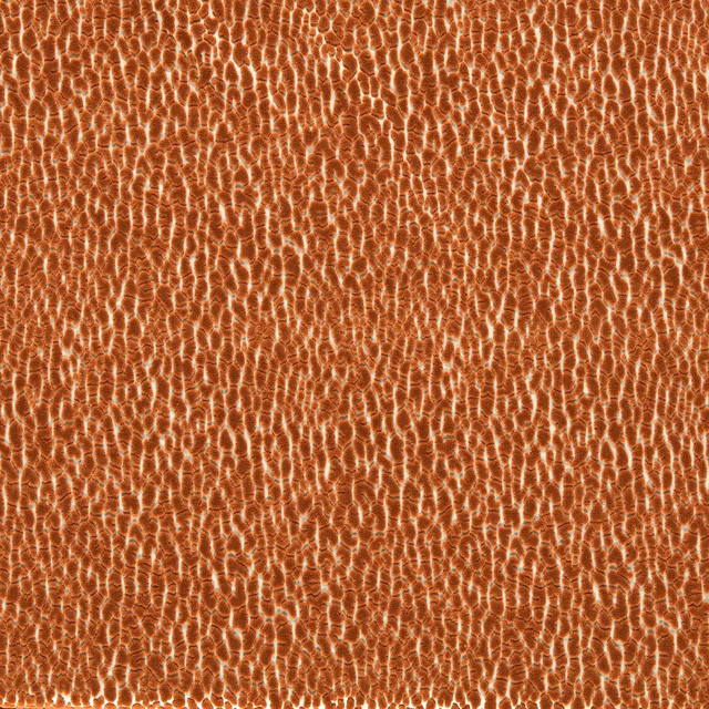 Warm russet velvet with fine irregular cream tiger-like markings and plush directional sheen