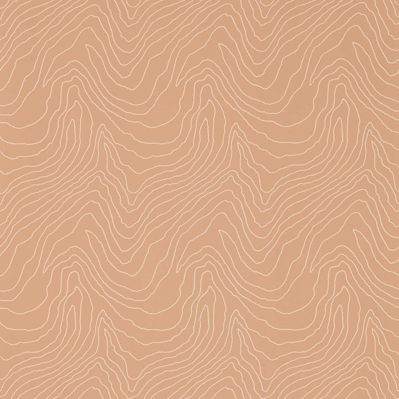 Dusty terracotta wallpaper with fine ivory flowing contour lines in a repeating topographic pattern