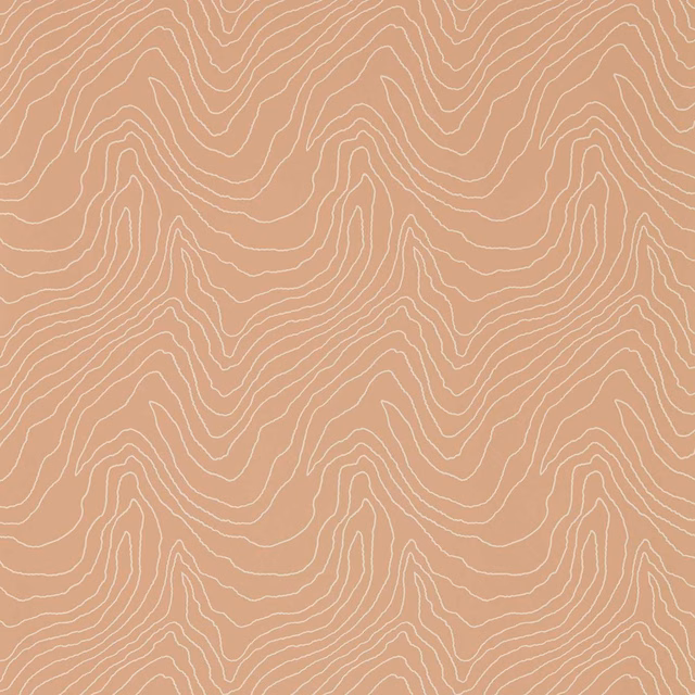 Dusty terracotta wallpaper with fine ivory flowing contour lines in a repeating topographic pattern