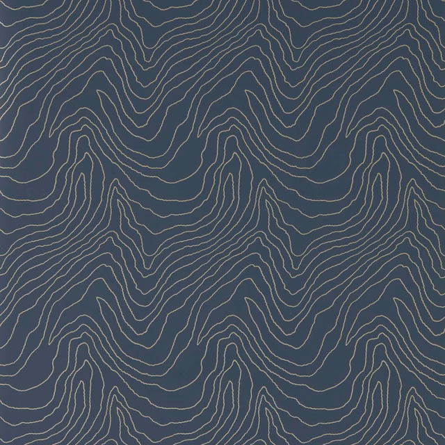 Deep blue-grey wallpaper with fine pale contour lines forming an undulating topographic pattern