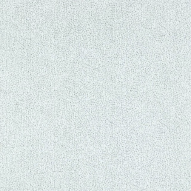 Pale blue-green wallpaper with fine irregular cellular lines and a softly mottled texture
