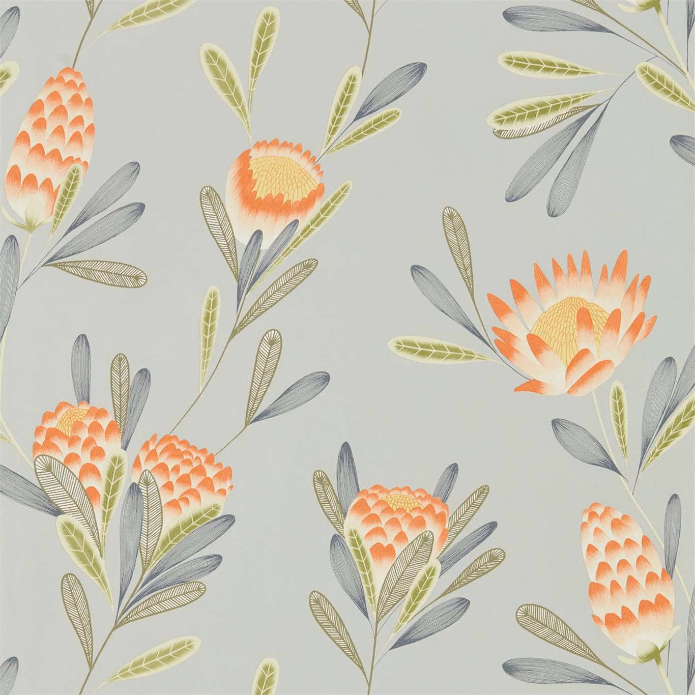 Coral protea-style flowers and olive, blue-grey leaves on a silver-grey ground