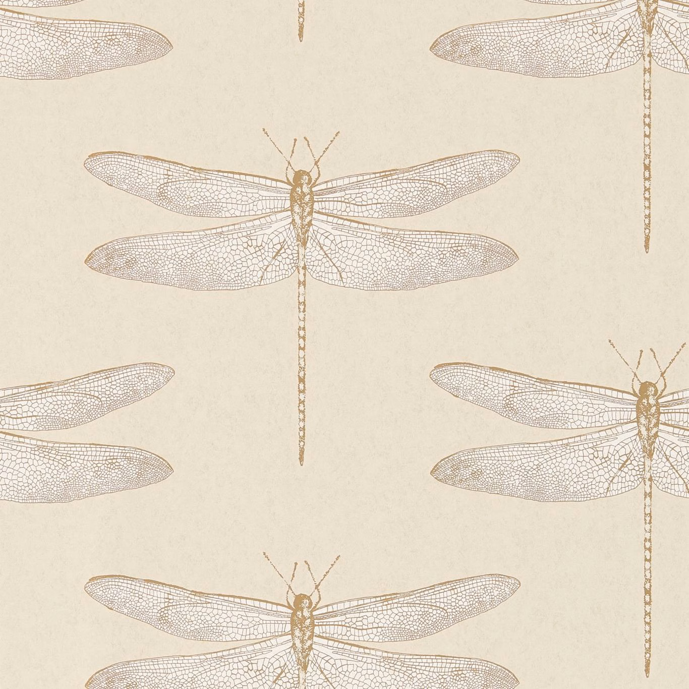 Warm cream wallpaper with delicate taupe dragonflies and finely netted wings