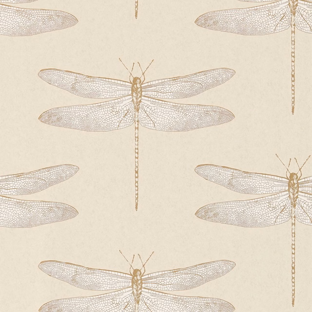Warm cream wallpaper with delicate taupe dragonflies and finely netted wings