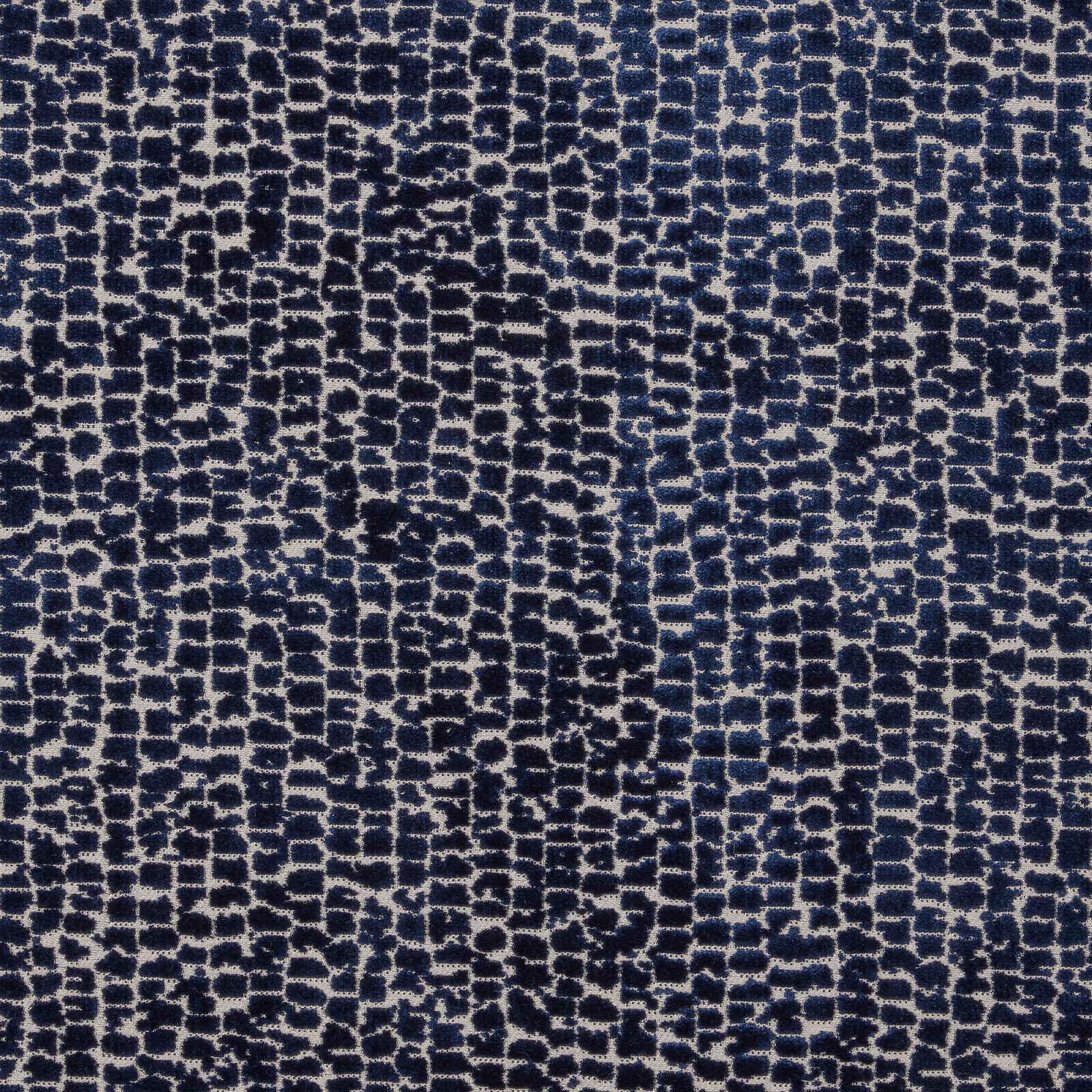 Deep navy velvet with a small abstract pebble pattern and pale flecked highlights