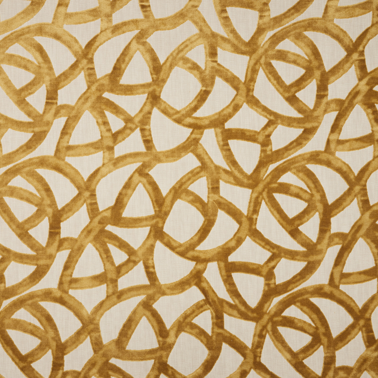 Saffron gold looped velvet pattern on an ivory ground