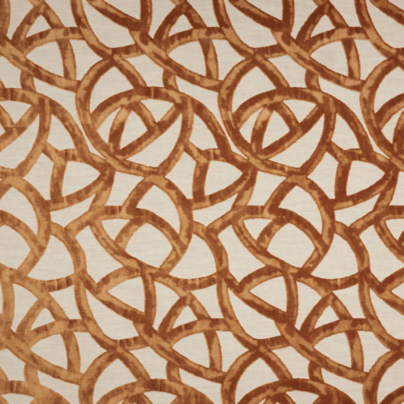 Warm sienna looped velvet pattern on an ivory ground