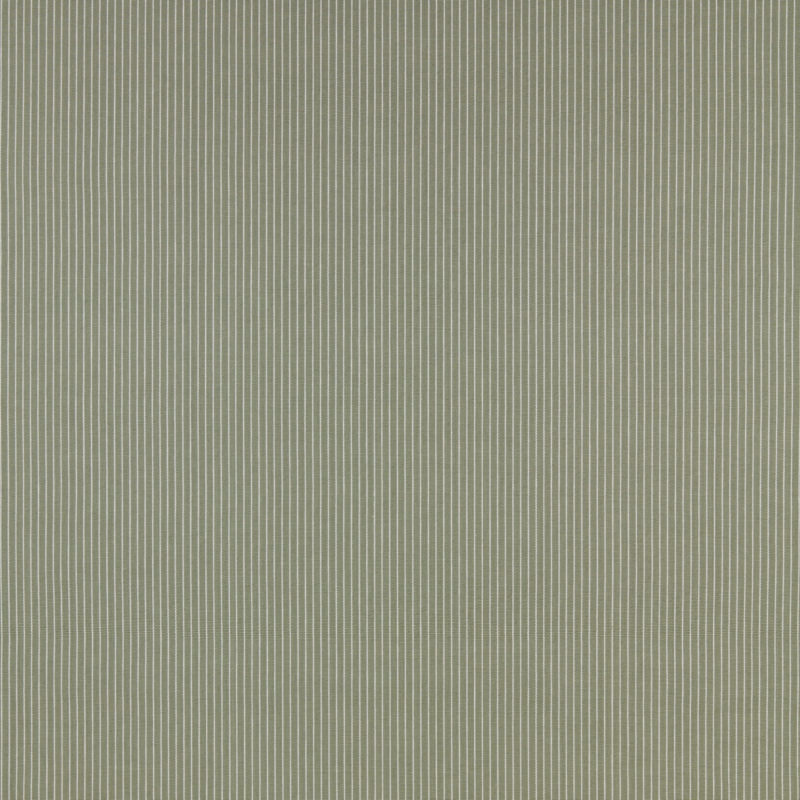 Muted willow green cotton stripe with fine pale vertical pinstripes