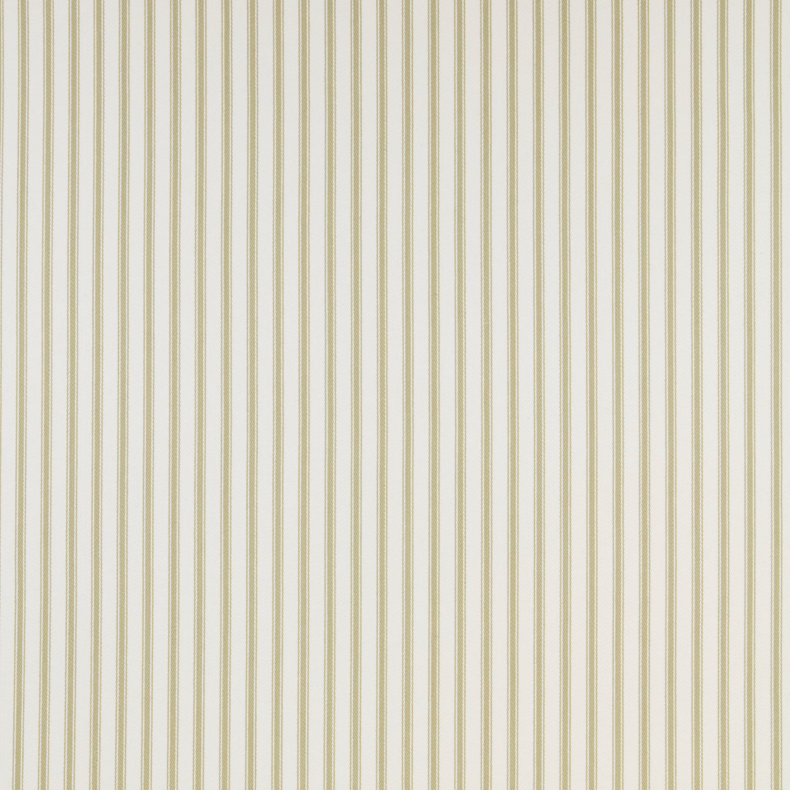 Pale cotton fabric with fine vertical olive pinstripes on an ivory ground