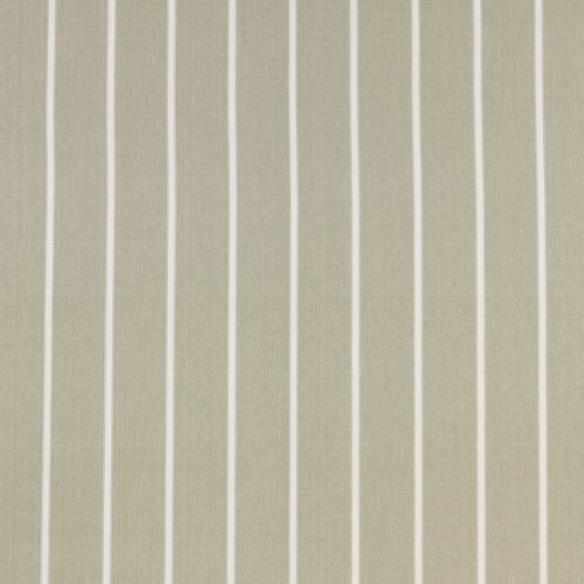 Soft willow green vertical stripe cotton fabric with pale narrow bands