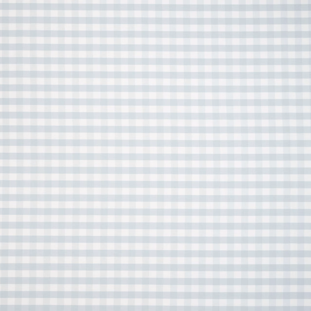 Pale aqua and white small check embroidered fabric swatch