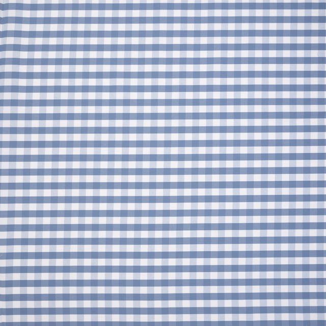 Blue and white embroidered gingham check fabric swatch with a crisp woven texture