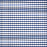 Blue and white small check embroidered fabric swatch with crisp grid texture