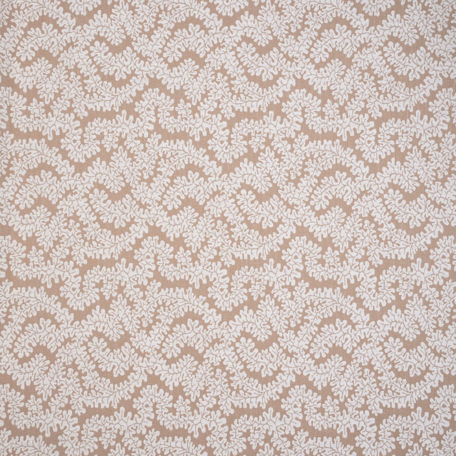 Warm beige fabric swatch with ivory scrolling botanical repeat
