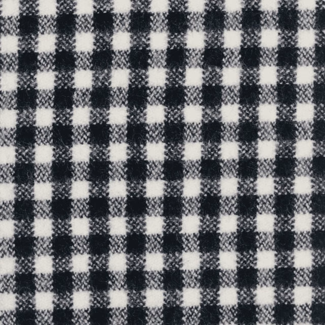 Black and white medium-scale gingham with softly feathered woven checks
