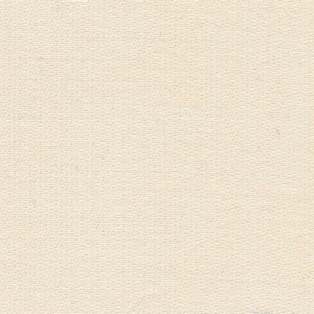 Warm ivory white sheer fabric showing a fine, subtly irregular woven texture