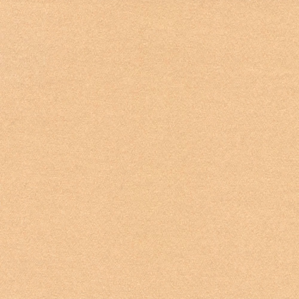 Warm champagne-beige fabric with a barely mottled, fine woven surface