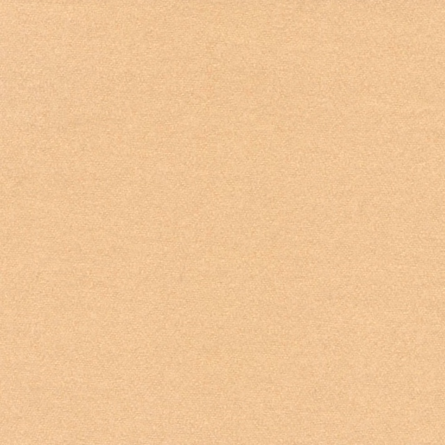 Warm champagne-beige fabric with a barely mottled, fine woven surface